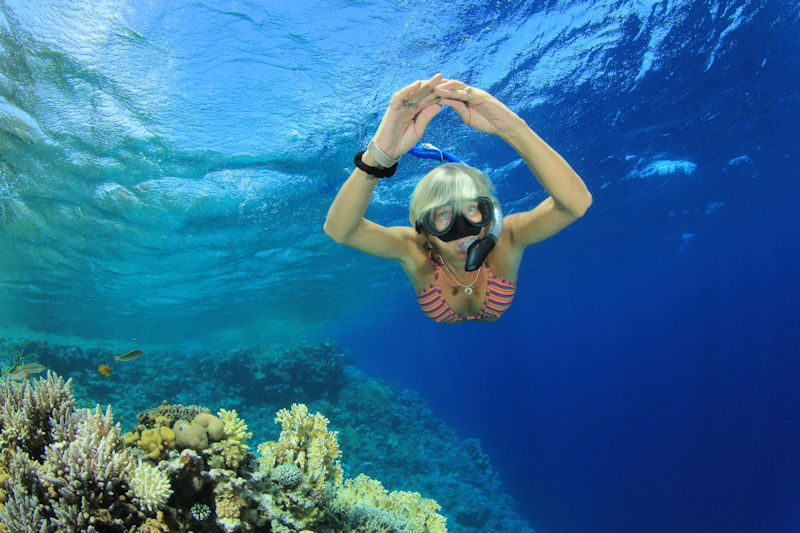 Find Key West snorkeling information here at The Official