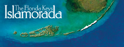 Islamorada Streaming Cam