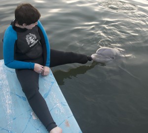 A dolphin touches the prosthetic belonging to U.S. Army medic Rachael Rodgers at Dolphin Research Center in Marathon, Fla. 
