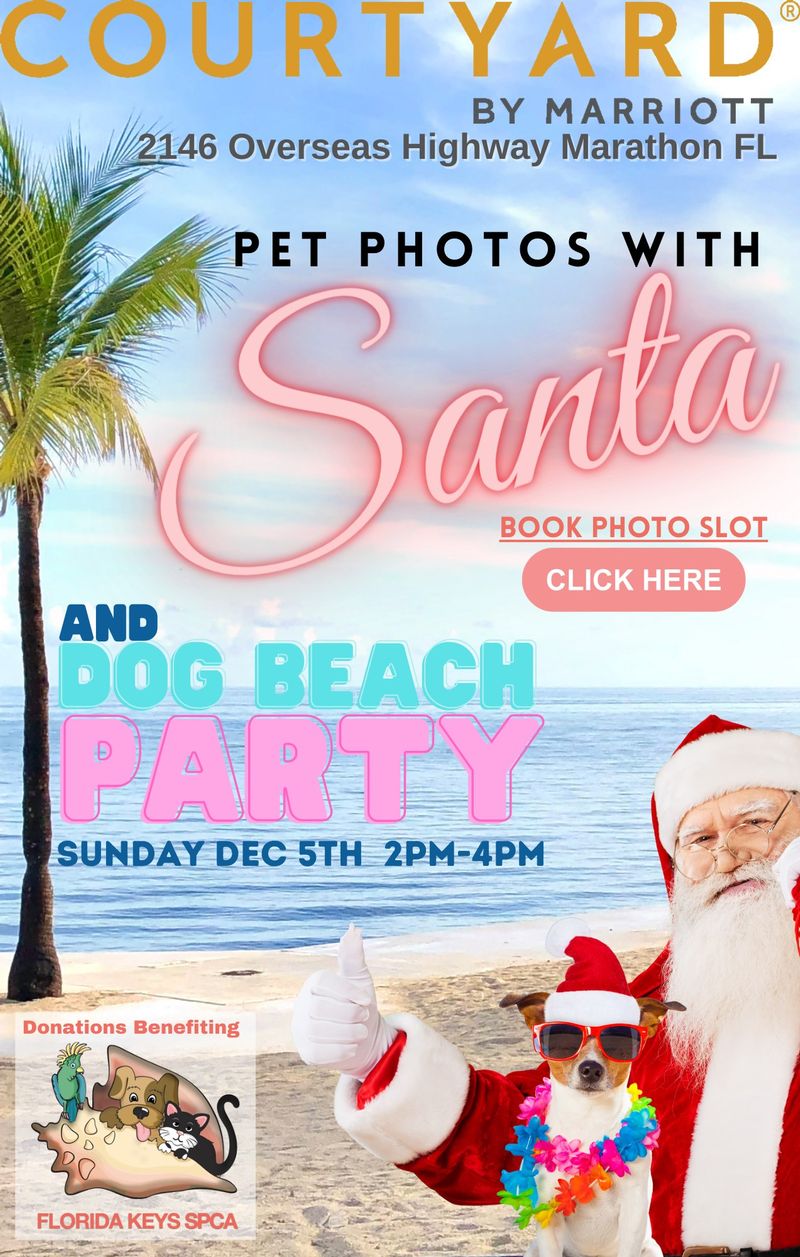 Image for Pet Photos with Santa