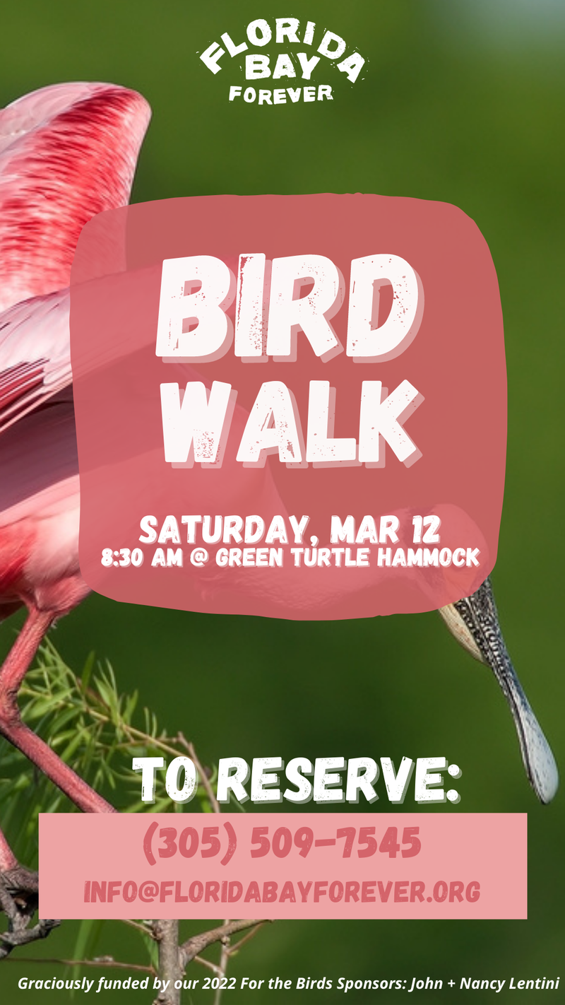 Image for Bird Walk at Green Turtle Hammock Nature Preserve