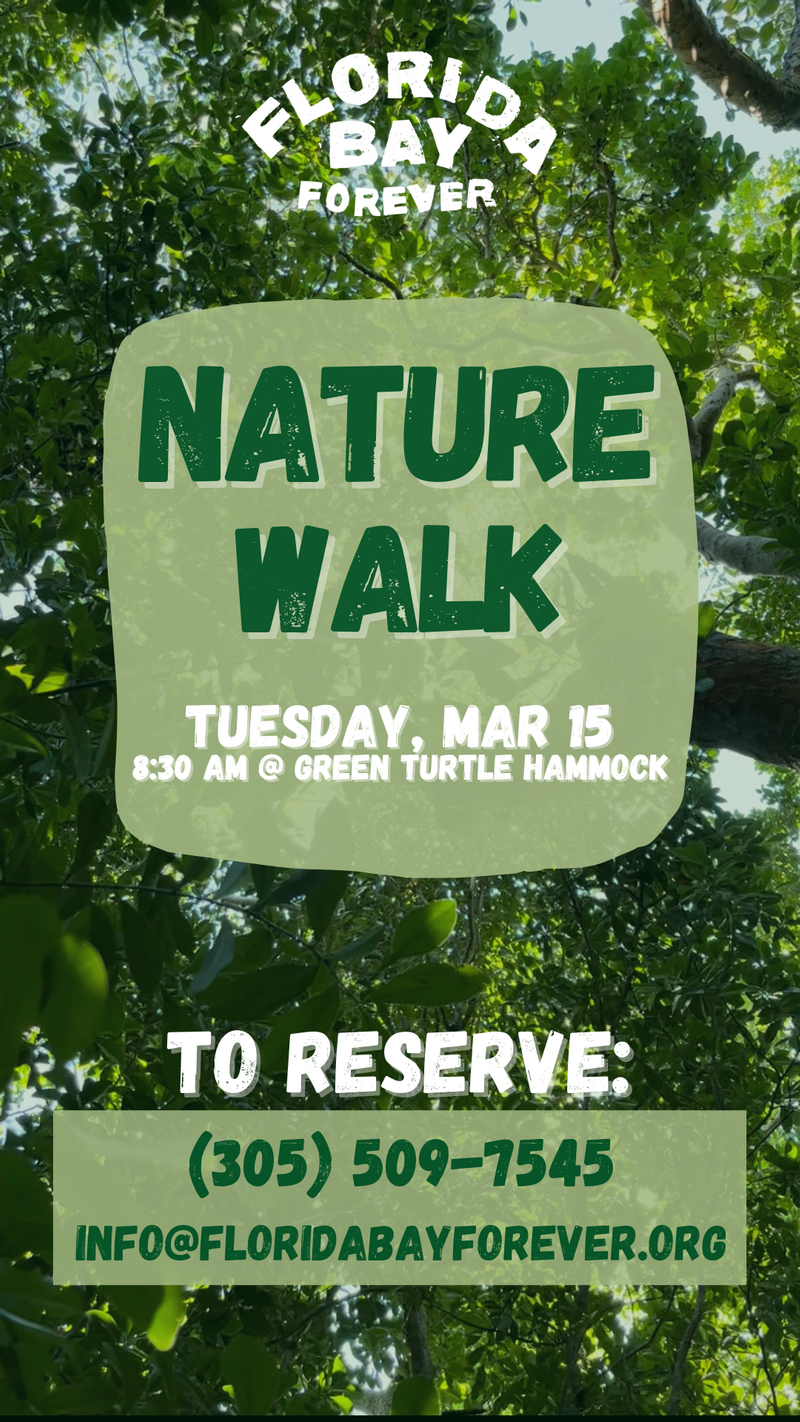 Image for Nature Walk at Green Turtle Hammock Nature Preserve