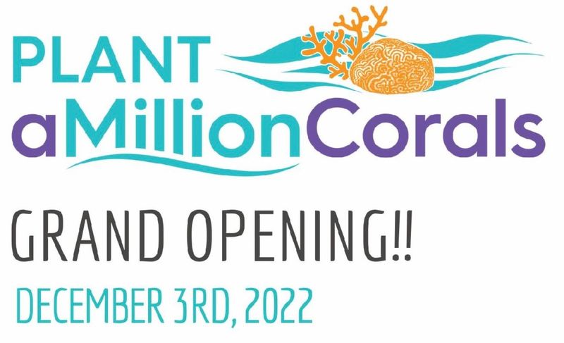 Image for Grand Opening: Plant a Million Corals