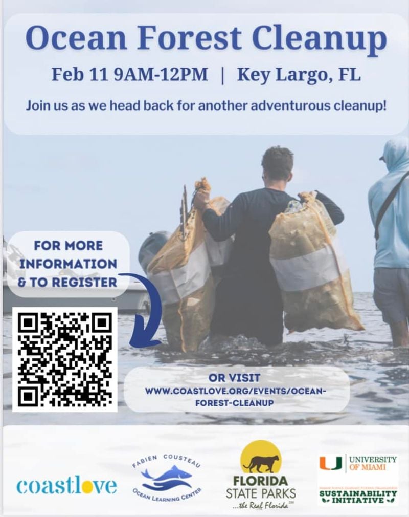 Image for Ocean Forest Cleanup