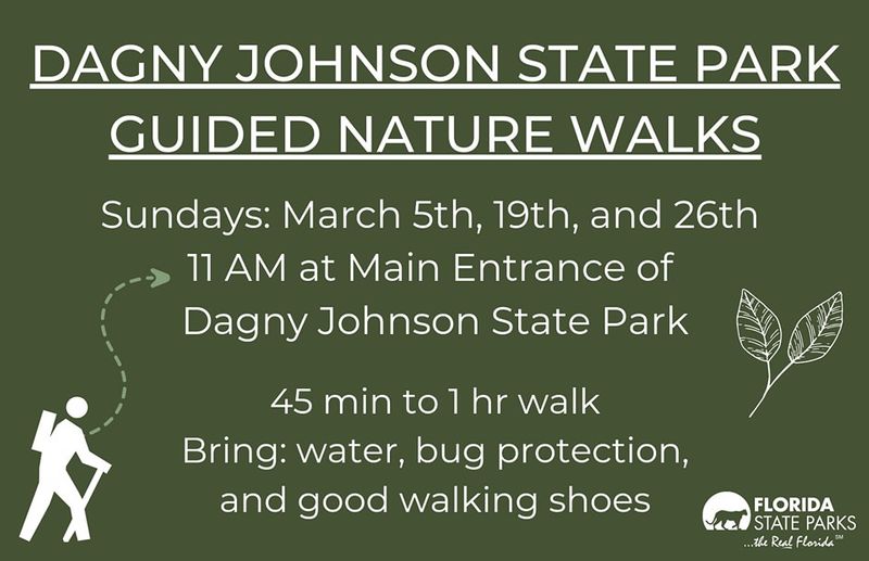 Image for Dagny Johnson State Park Guided Nature Walk 