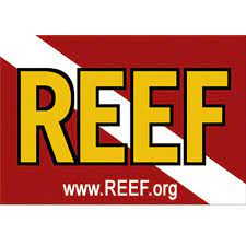 Image for REEF Fish & Friends: Coral Reef Sponge Research & Restoration
