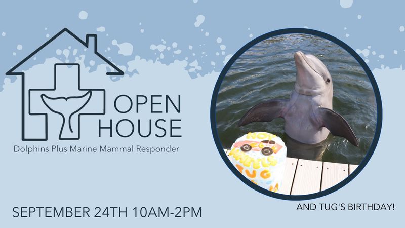 Image for Dolphins Plus Marine Mammal Responder Open House