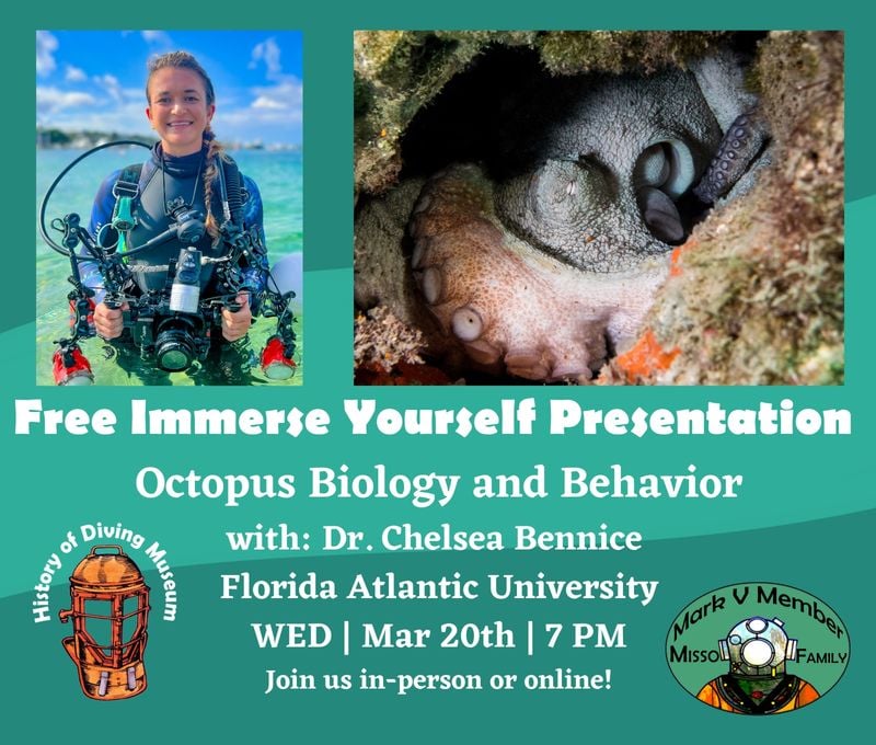 Image for History of Diving Museum: Immerse Yourself - Octopus Biology and Behavior