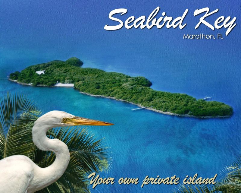 SEABIRD KEY - PRIVATE ISLAND RETREAT - Image 4