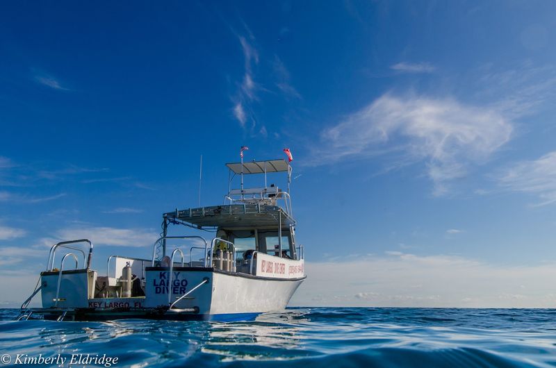 KEY LARGO DIVE CENTER - Image 1