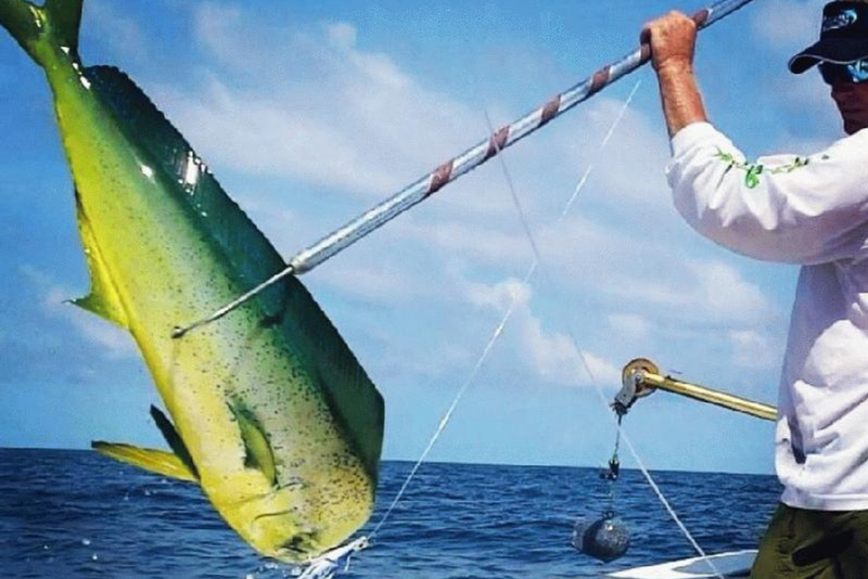 Key West Deep Sea & Offshore Fishing Directory