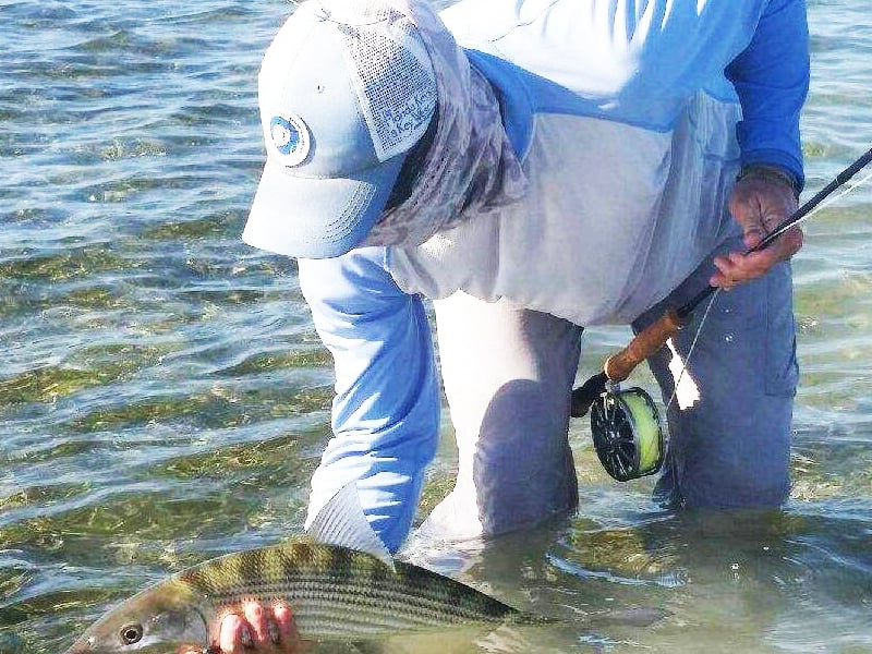 KEY WEST FLATS & BACKCOUNTRY FISHING - Image 3