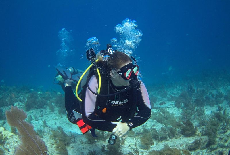 Key West Scuba Diving — Official PADI® 5 Star Center‎