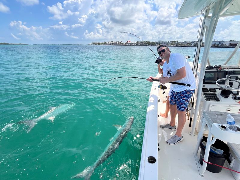 Live Action Sportfishing - Image 3