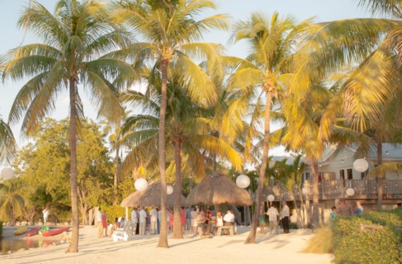 COCONUT PALM INN - Image 3