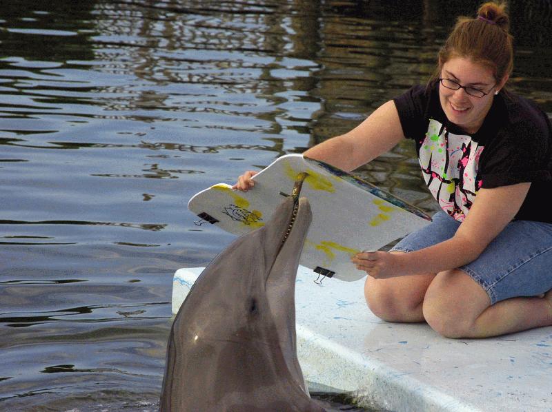 DOLPHIN RESEARCH CENTER - Image 3