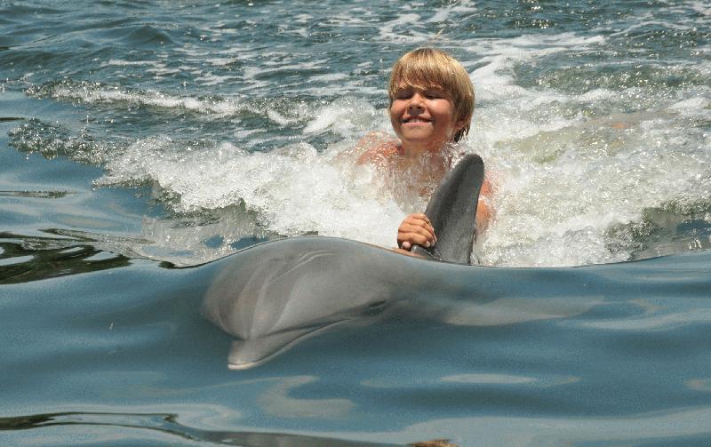 Dolphin Research Center: Grave of Flipper, Marathon, Florida