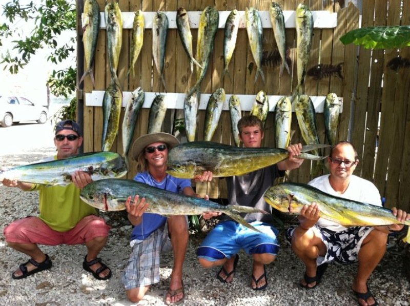 JOHNNY MADDOX FISHING CHARTERS ~ SPORTFISHING ADVENTURES - Image 2