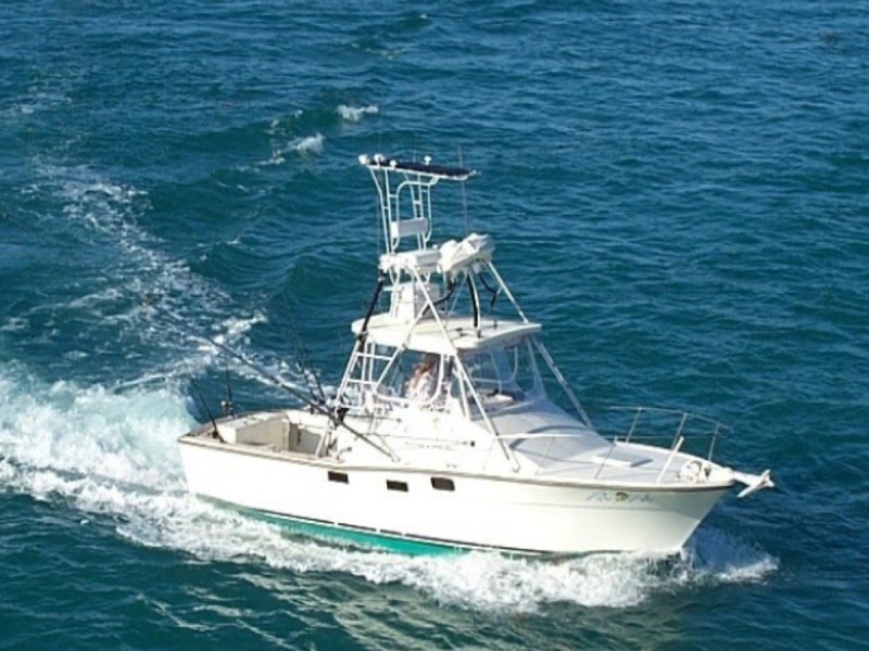 JOHNNY MADDOX FISHING CHARTERS ~ SPORTFISHING ADVENTURES - Image 4