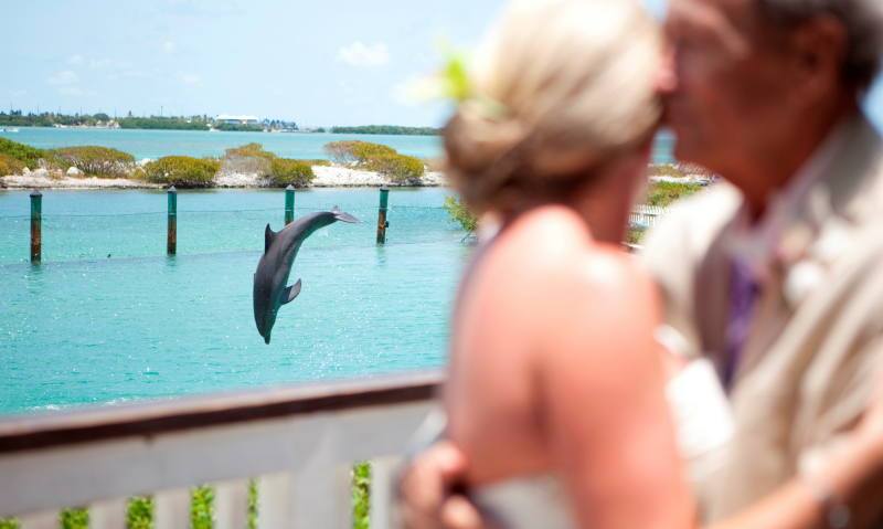 HAWKS CAY RESORT WEDDING SPECIALISTS - Image 4