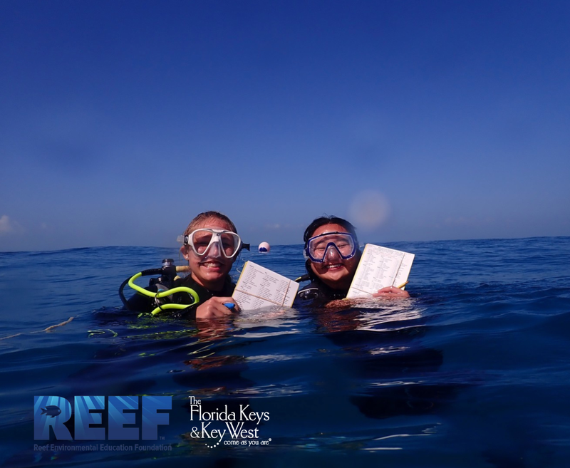 Image for REEF FISH ID Citizen Science Workshops