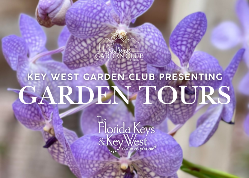 Image for Garden Tours hosted by The Garden Club