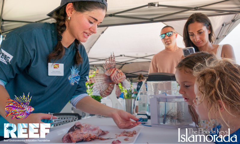 Image for Florida Keys Lionfish Derby & Arts Festival