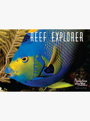 Reef Explorer Guide