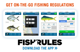 Fish Rules App