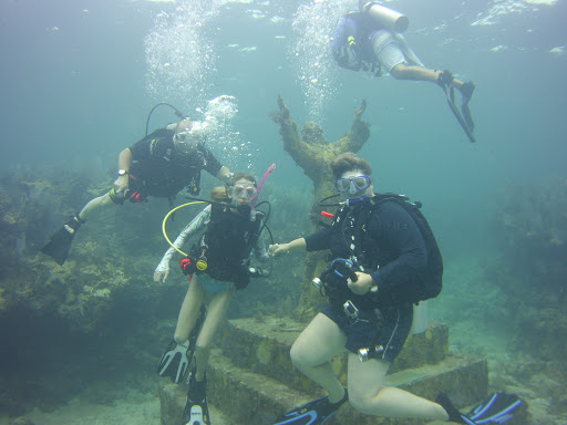 Find Key Largo snorkeling information here at Fla-Keys.com, The