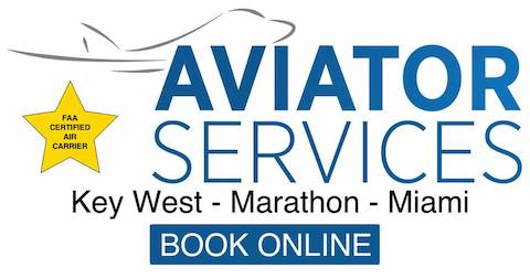 Aviator Services