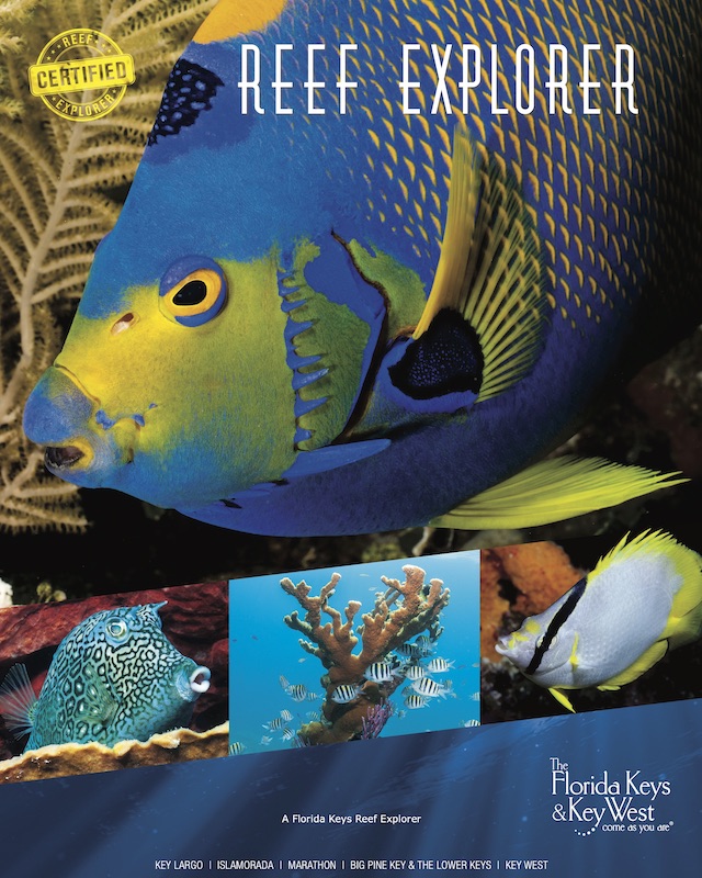 Personalize and Print a Reef Explorer Poster