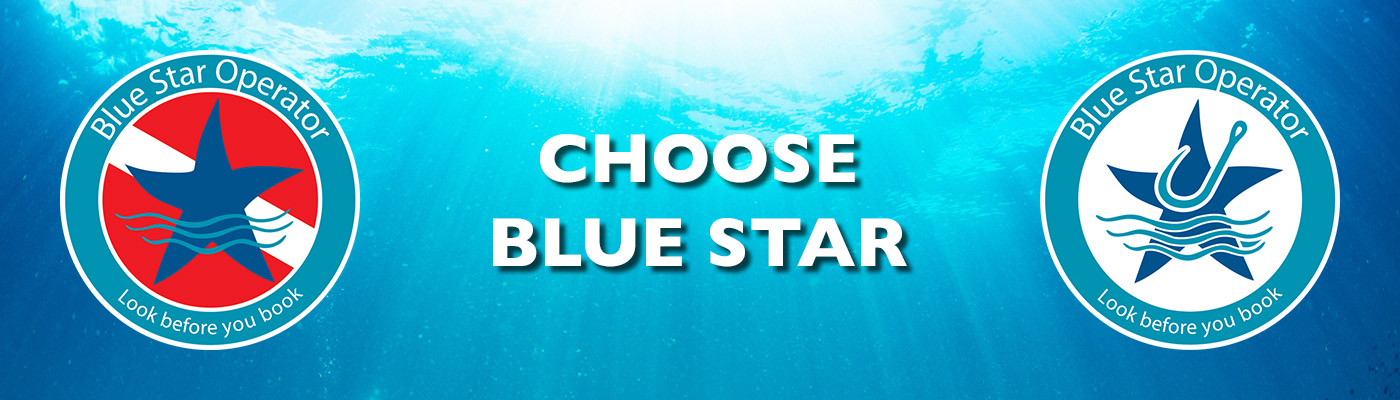 Choose Blue Star