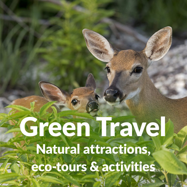 Green Travel: Natural attractions, eco-tours & activities