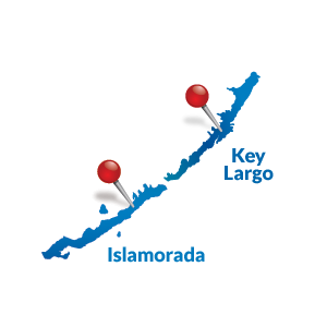 Zone 1: Upper Keys