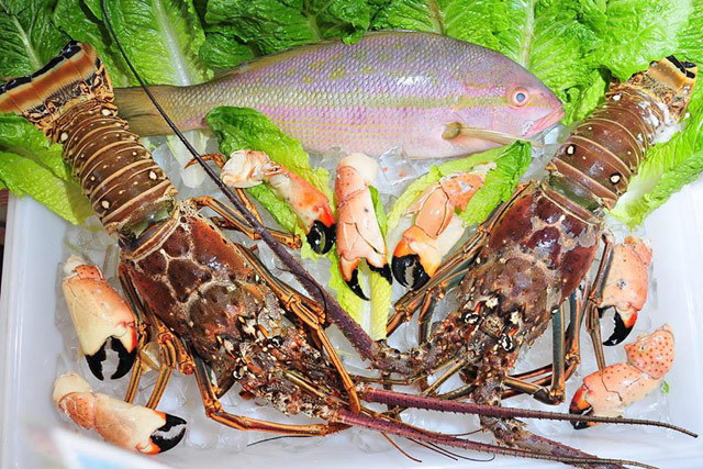 Shrimp, fish, and crab claws