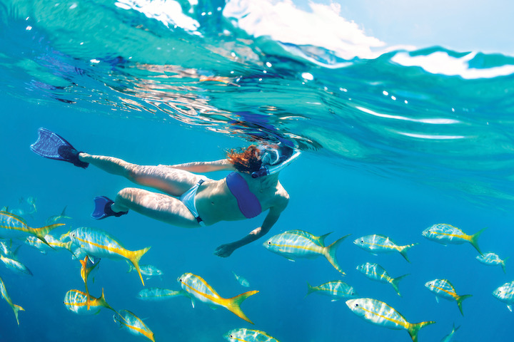 A woman snorkeling with fish
