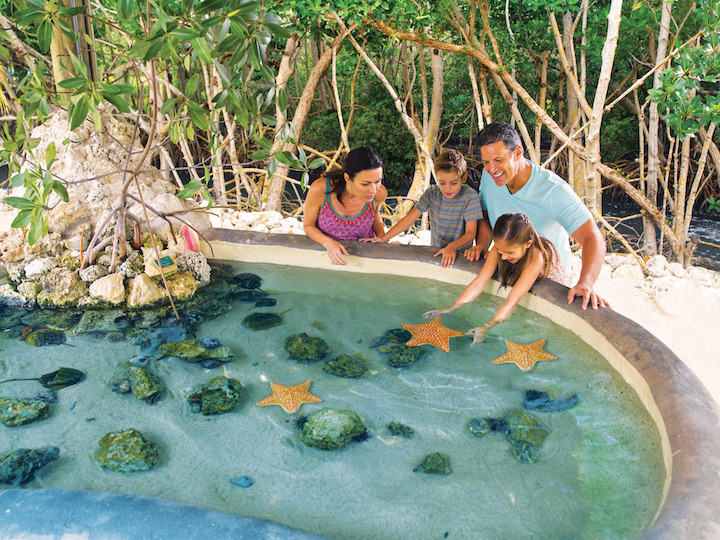 A family at an aquarium touch tank in Marathon