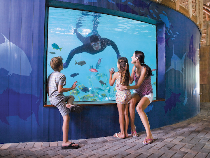 A family watching a diver in an aquarium in Marathon