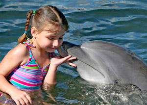 Dolphin Giving Kisses in the Florida Keys
