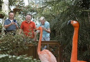 Key West Butterfly Conservatory