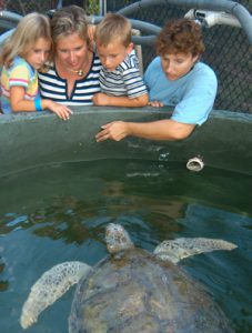 Turtle Hospital tour Marathon Key