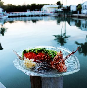 Lionfish at Castaway Restaurant