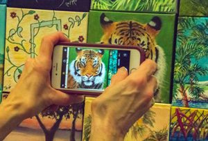 Connections Project Florida Keys tiger