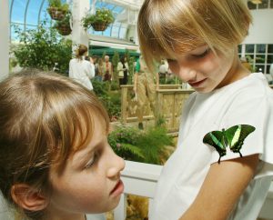kids at Key West Butterfly Conservatory