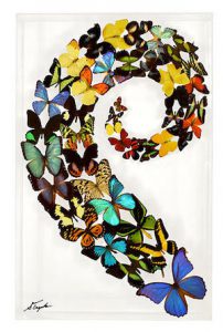Butterfly artwork Key West Butterfly Conservatory