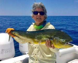 lady angler dolphin fish Florida Keys