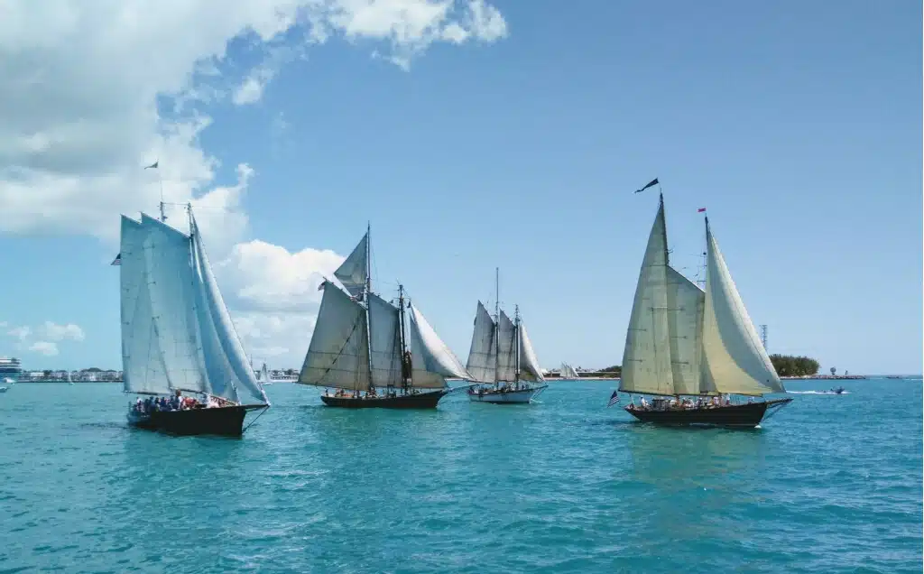 Sail boats in the ocean