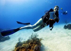 REEF campus director Jill Kuehnert surveys reef fish during a dive off Key Largo. She has completed more than 30 surveys as part of REEF’s Volunteer Fish Survey Project, which helps build one of the largest marine life databases in the world.