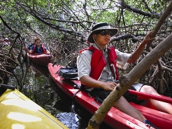 Paddle a kayak through the backcountry waters of the Florida Keys, and you'll see one of the world's most diverse marine life ecosystems. (Photo by Bob Krist, Florida Keys News Bureau)